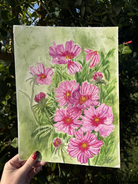 Pink Cosmos | Mixed Media Fine Art Print